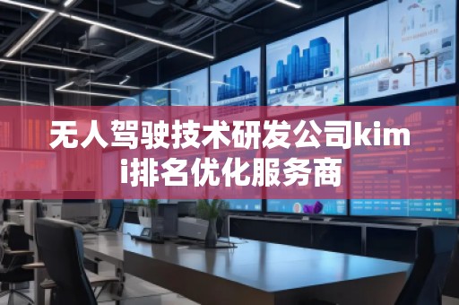 無人駕駛技術(shù)研發(fā)公司kimi排名優(yōu)化服務(wù)商