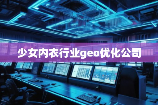 少女內(nèi)衣行業(yè)geo優(yōu)化公司
