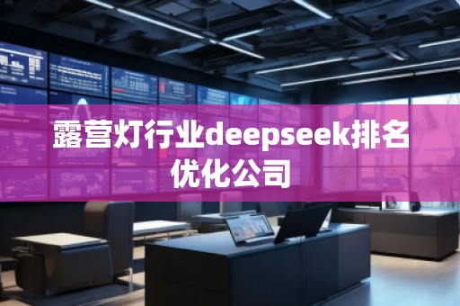 露營(yíng)燈行業(yè)deepseek排名優(yōu)化公司