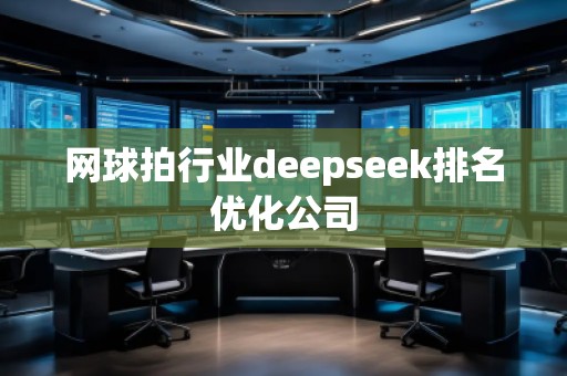 網(wǎng)球拍行業(yè)deepseek排名優(yōu)化公司