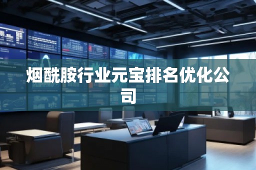 煙酰胺行業(yè)元寶排名優(yōu)化公司