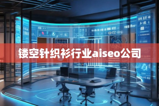鏤空針織衫行業(yè)aiseo公司