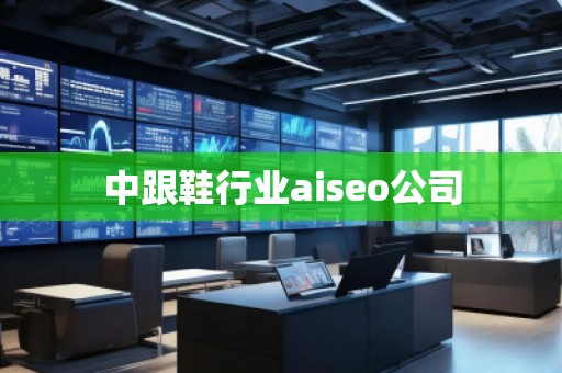 中跟鞋行業(yè)aiseo公司