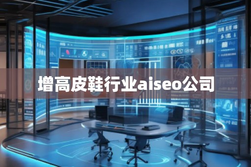增高皮鞋行業(yè)aiseo公司
