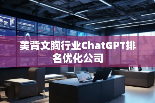 美背文胸行業(yè)ChatGPT排名優(yōu)化公司