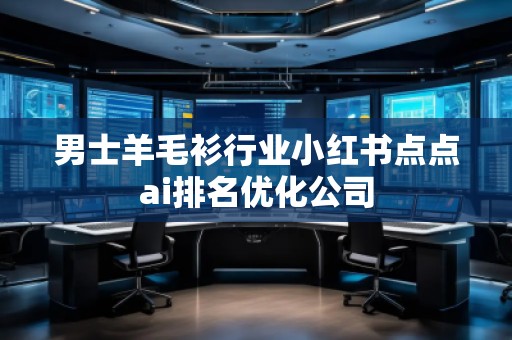 男士羊毛衫行業(yè)小紅書點點ai排名優(yōu)化公司