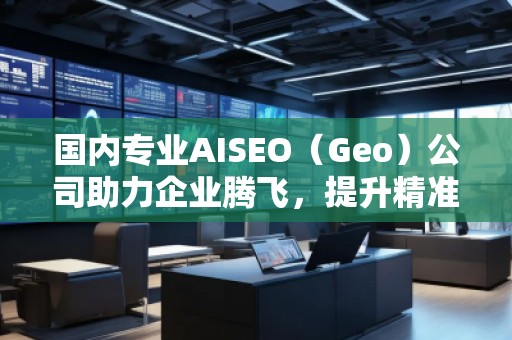 國內專業(yè)AISEO（Geo）公司助力企業(yè)騰飛，提升精準營銷效果