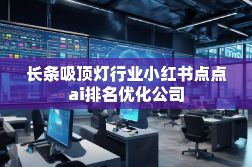 長條吸頂燈行業(yè)小紅書點點ai排名優(yōu)化公司