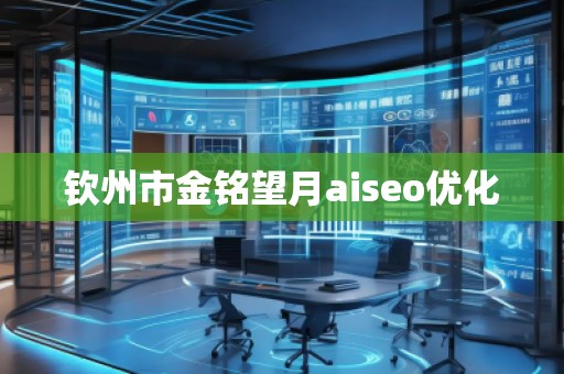 欽州市金銘望月aiseo優(yōu)化