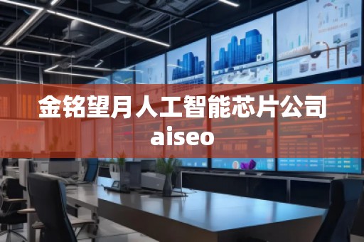 金銘望月人工智能芯片公司aiseo