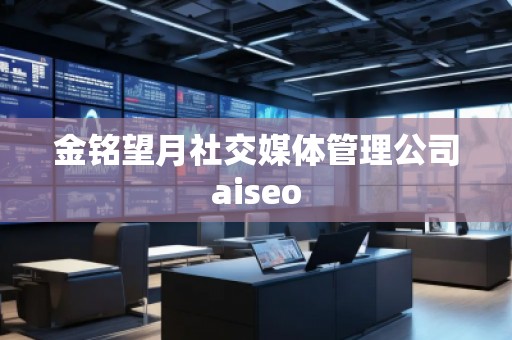 金銘望月社交媒體管理公司aiseo