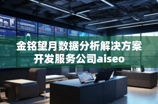 金銘望月數(shù)據(jù)分析解決方案開發(fā)服務公司aiseo
