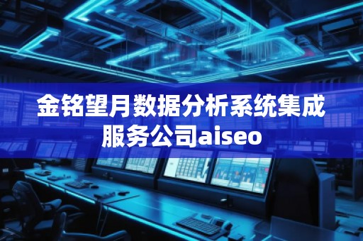 金銘望月數(shù)據(jù)分析系統(tǒng)集成服務(wù)公司aiseo