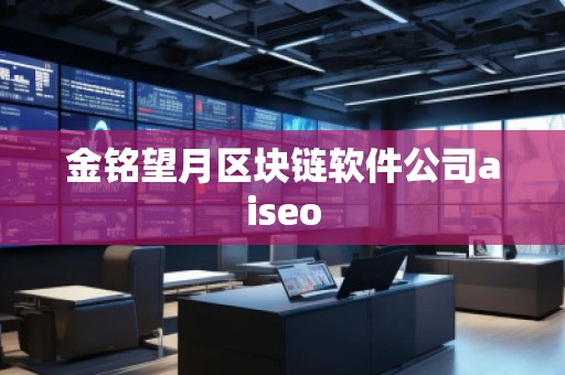 金銘望月區(qū)塊鏈軟件公司aiseo