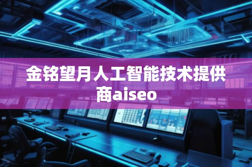 金銘望月人工智能技術(shù)提供商aiseo