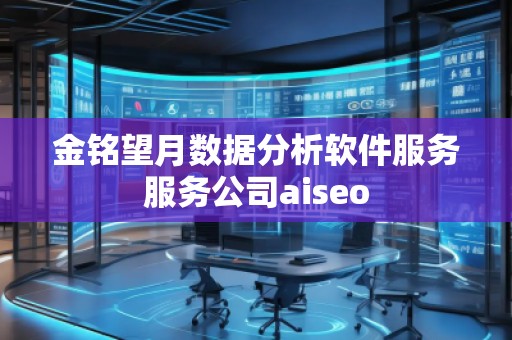 金銘望月數(shù)據(jù)分析軟件服務(wù)服務(wù)公司aiseo