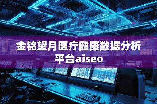 金銘望月醫(yī)療健康數據分析平臺aiseo