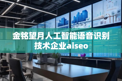 金銘望月人工智能語音識別技術(shù)企業(yè)aiseo